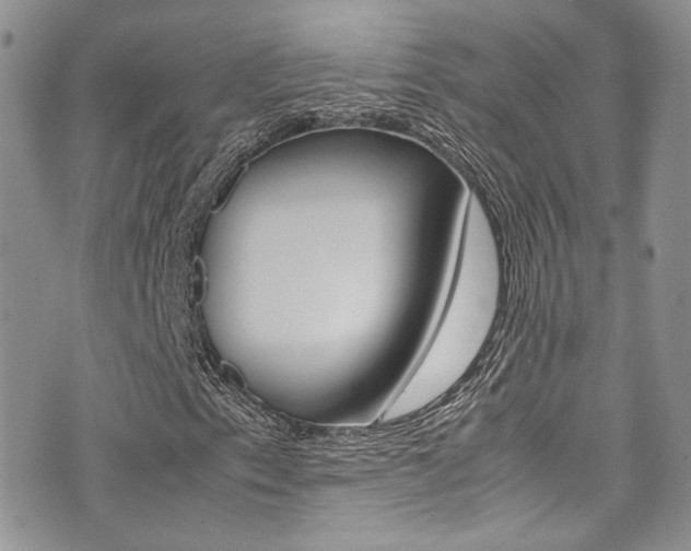 X0000071971153200607071030