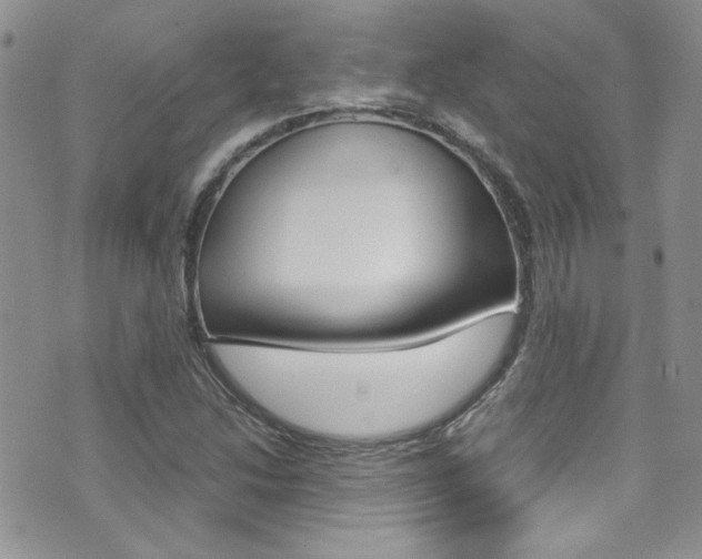 X0000071971214200607071029
