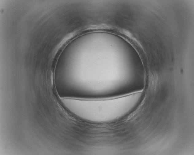 X0000071971221200607071029