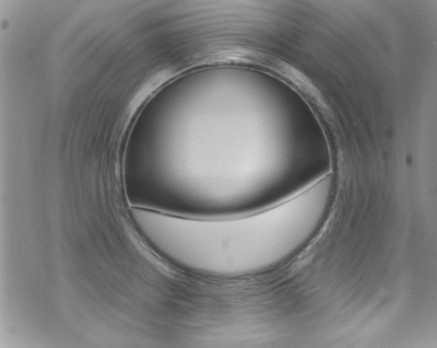 X0000071971234200607071029