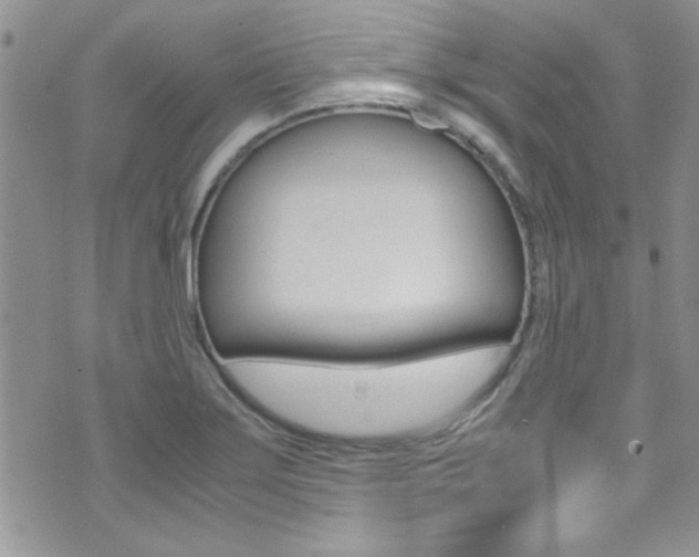 X0000071971275200607071028