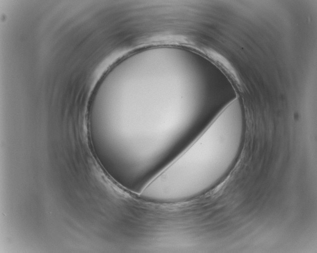 X0000071971288200607071028
