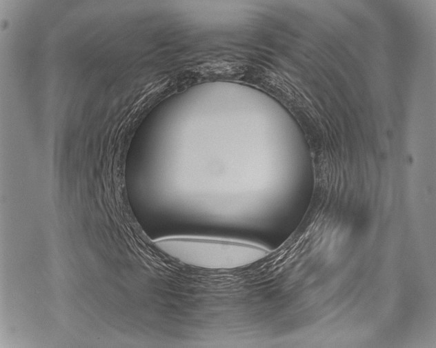X0000071971297200607071027