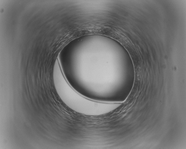 X0000071971298200607071027
