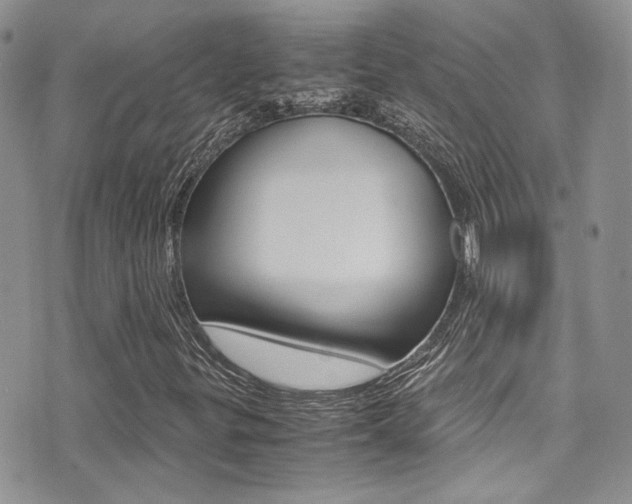 X0000071971299200607071027