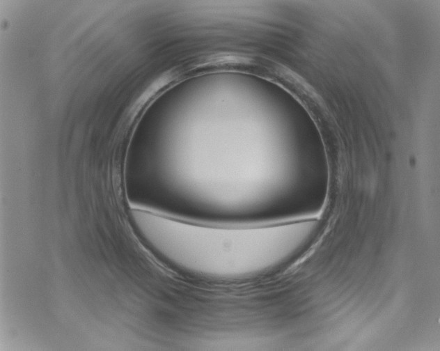 X0000071971321200607071028