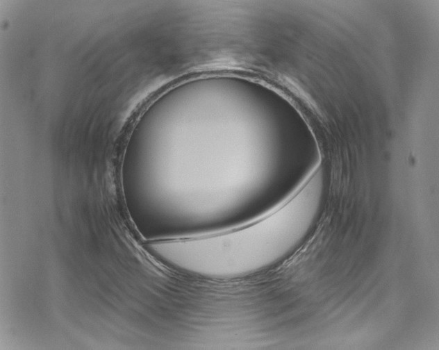 X0000071971356200607071027