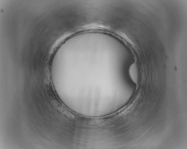 X0000071971358200607071027