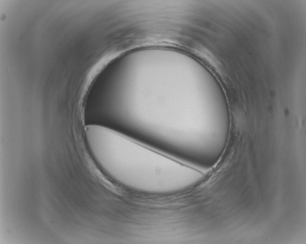 X0000071971371200607071027