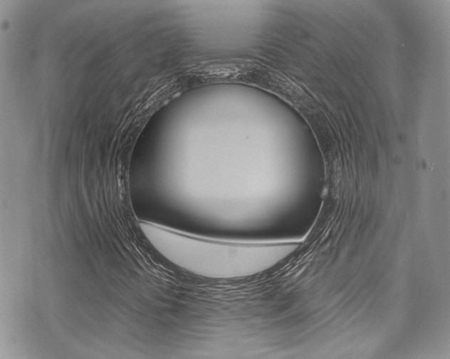 X0000071971394200607071026