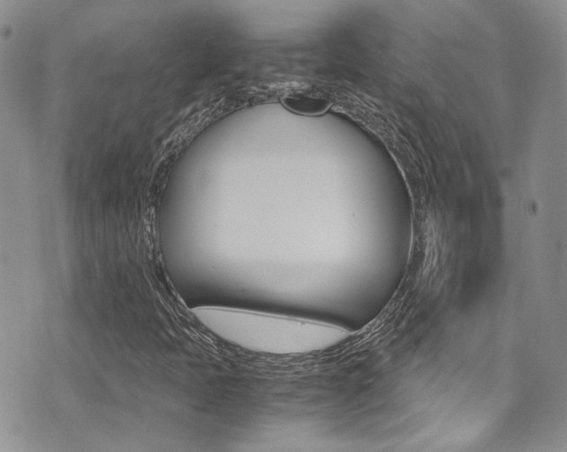 X0000071971397200607071026