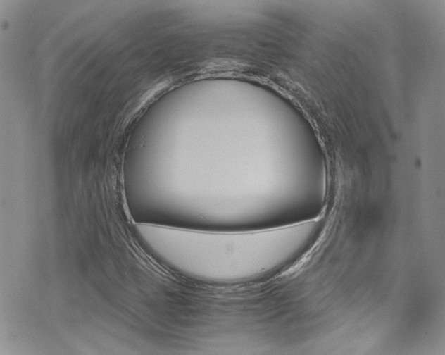 X0000071971401200607071026