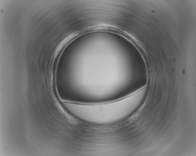 X0000071971418200607071026