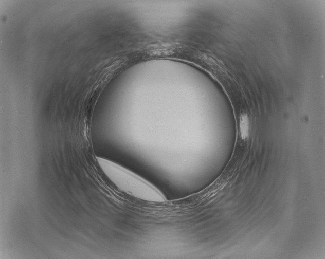 X0000071971444200607071026