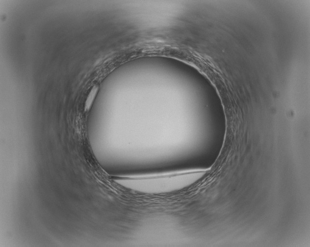 X0000071971445200607071026
