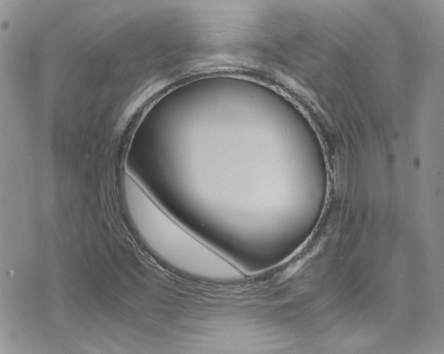 X0000071971453200607071026