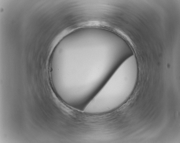 X0000071971475200607071025
