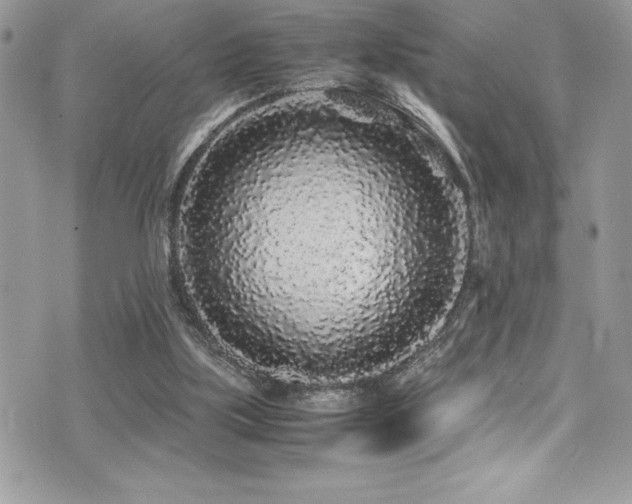 X0000071970059200607071528