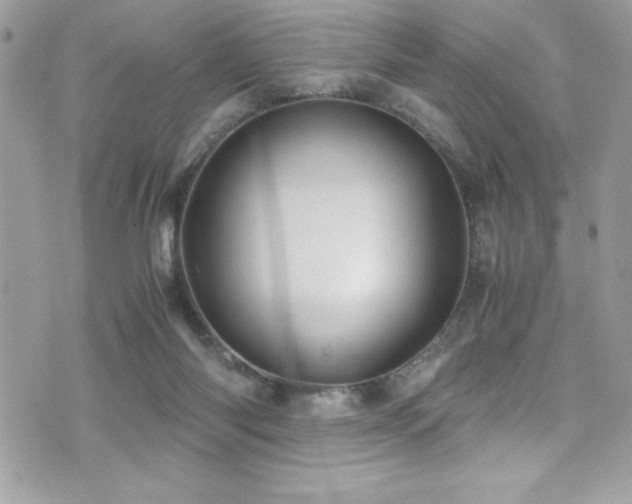 X0000071970118200607071527