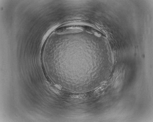 X0000071970147200607071526