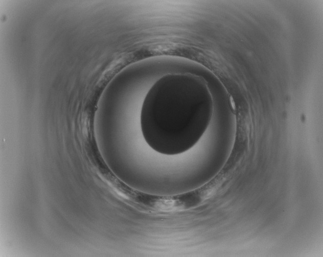 X0000071970227200607071526