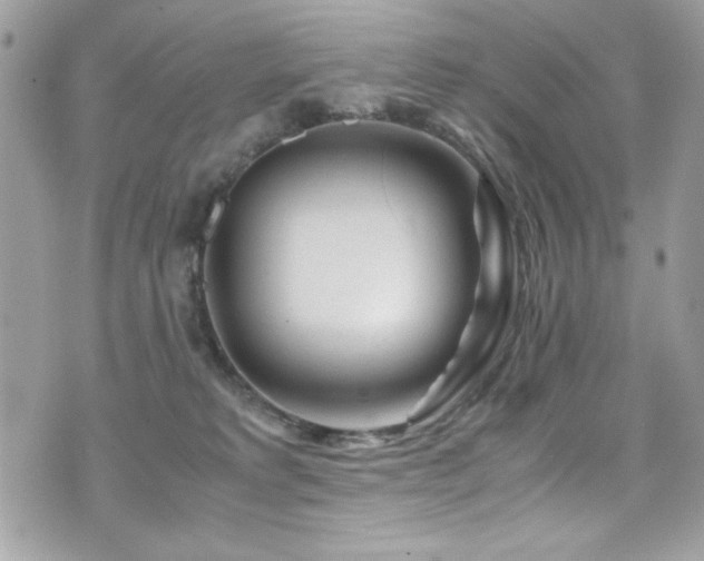 X0000071970229200607071526