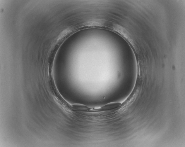 X0000071970253200607071525