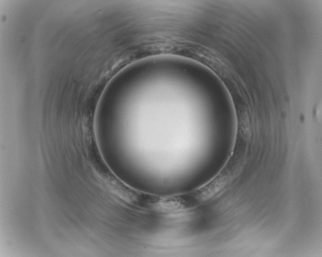 X0000071970270200607071525
