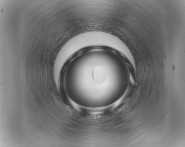 X0000071970276200607071525