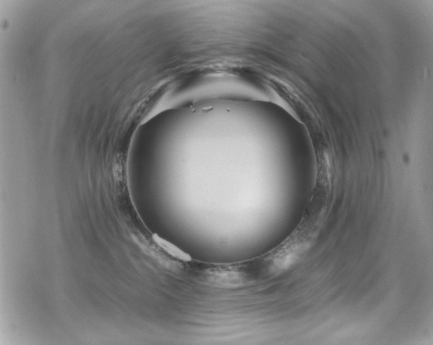 X0000071970284200607071525