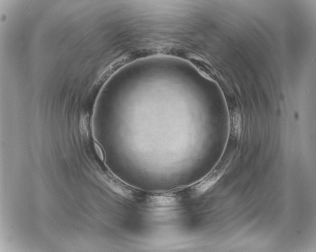 X0000071970286200607071525