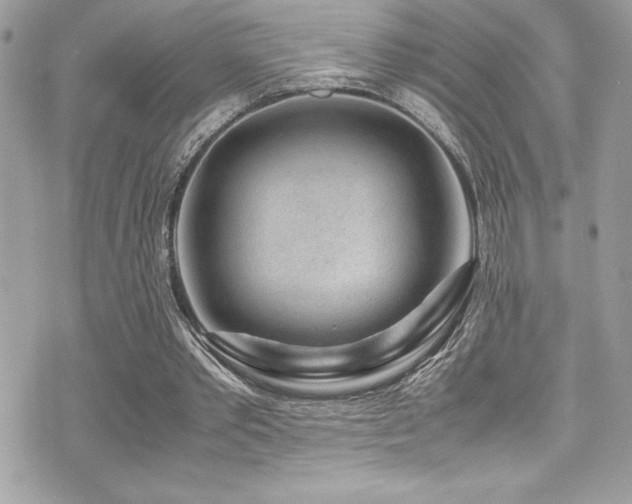 X0000071970389200607071523