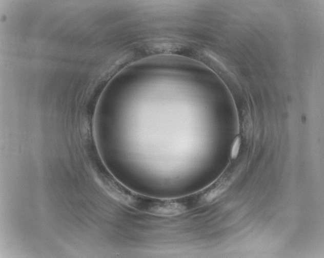 X0000071970459200607071522