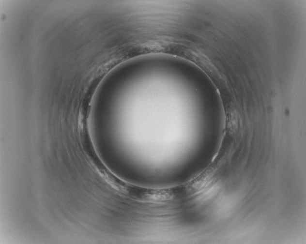 X0000071970466200607071522