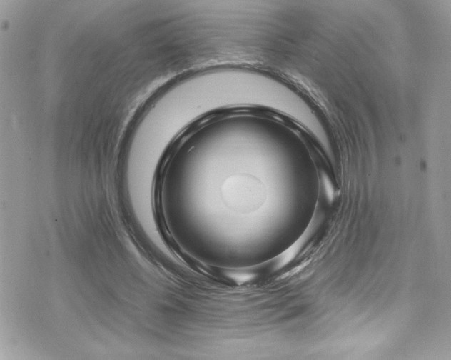 X0000071970540200607071520