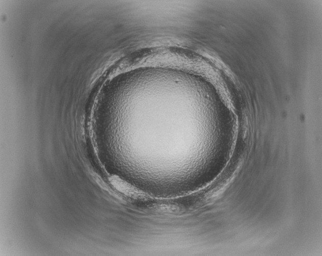 X0000071970585200607071520