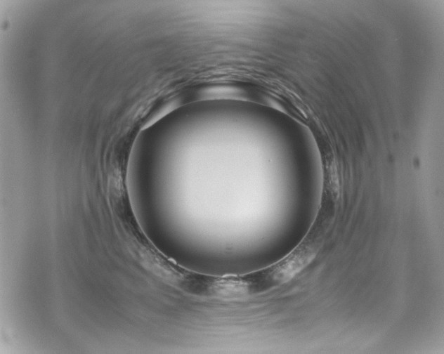 X0000071970617200607071519