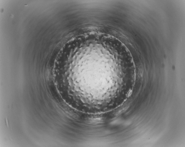 X0000071970651200607071519