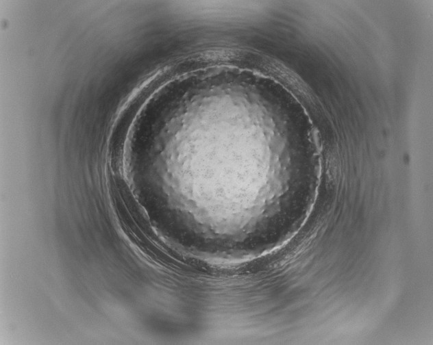 X0000071970722200607071517