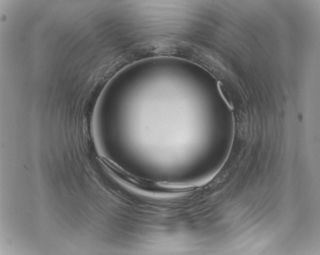 X0000071970748200607071517