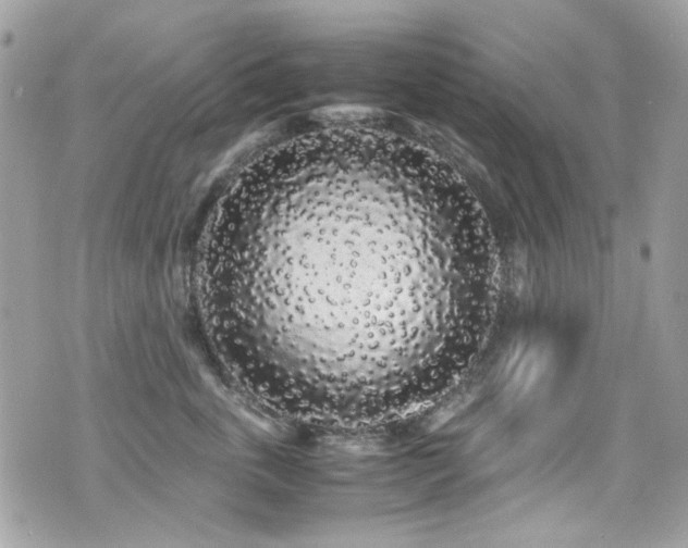 X0000071970763200607071517