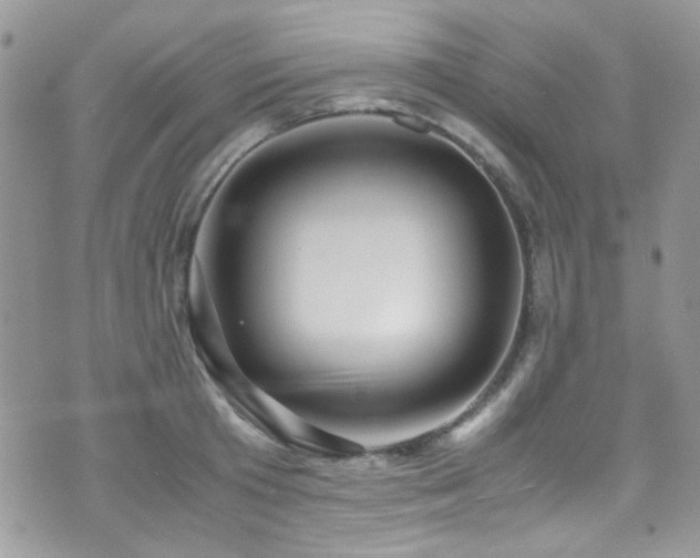 X0000071970801200607071516