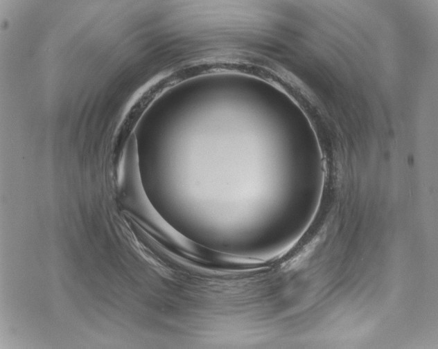 X0000071970830200607071515