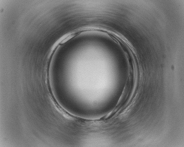 X0000071970862200607071516