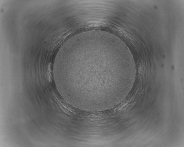 X0000071970868200607071515