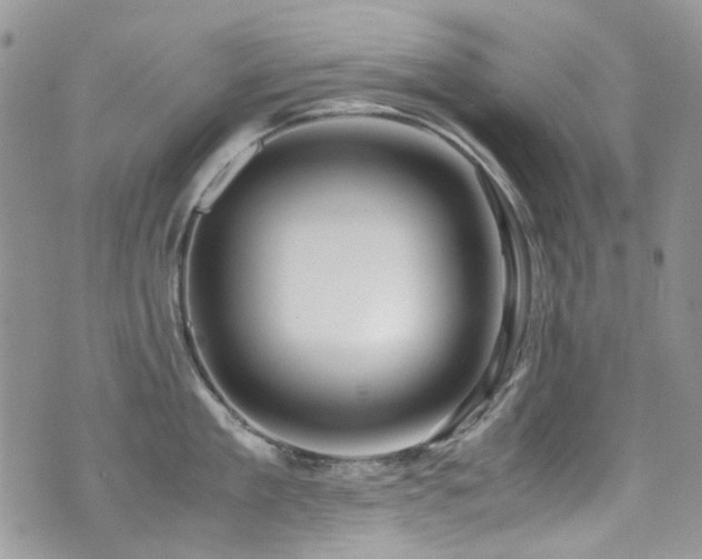 X0000071970909200607071515
