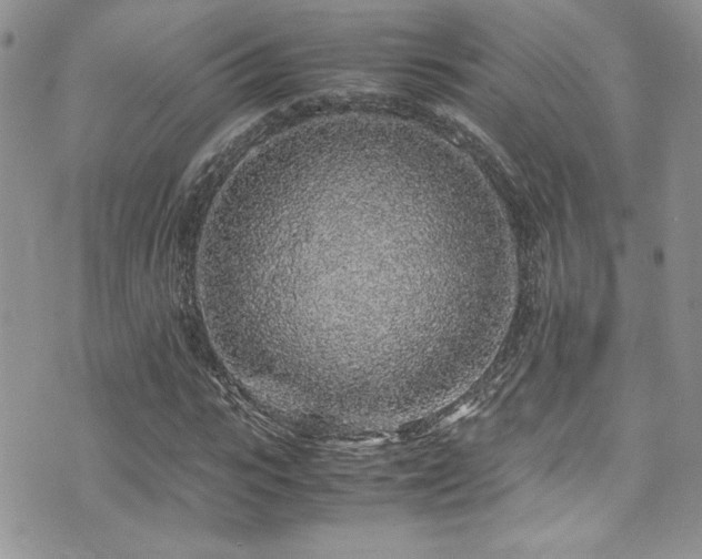 X0000071970919200607071514