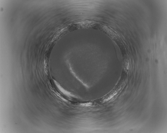 X0000071971010200607071512