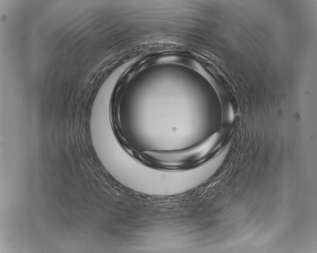 X0000071971014200607071512