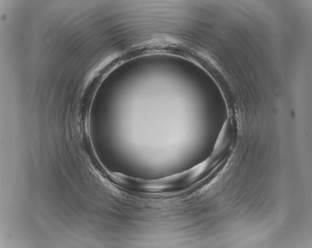 X0000071971018200607071512